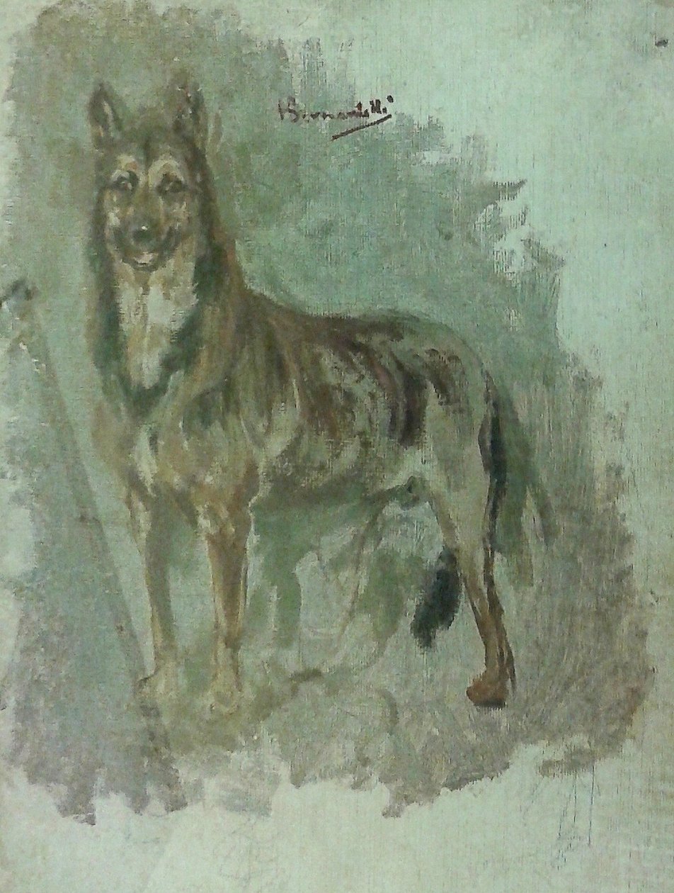 Studie van een dier [Hond] door Henrique Bernardelli