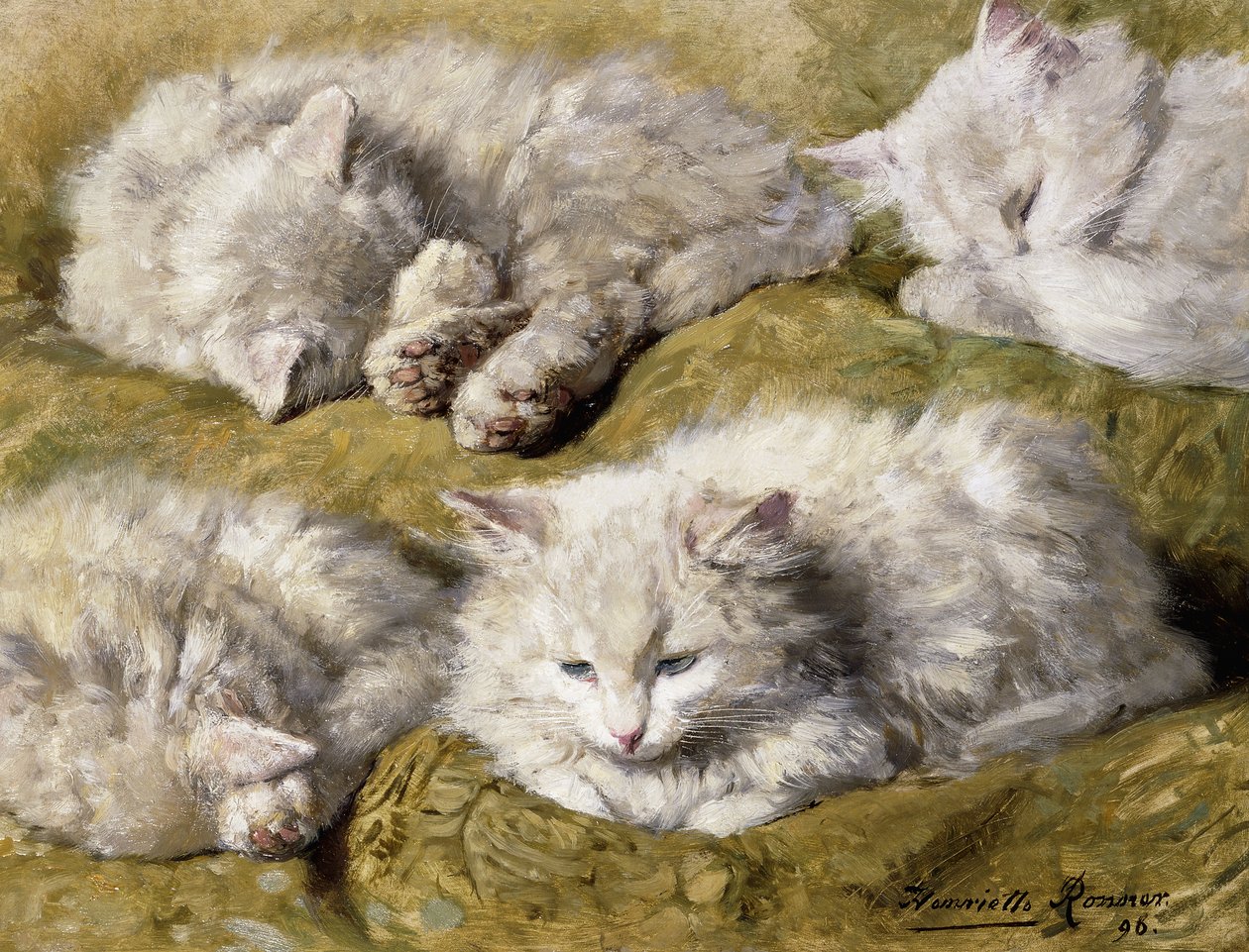 Studies van een langharige witte kat, 1896 door Henriëtte Ronner Knip
