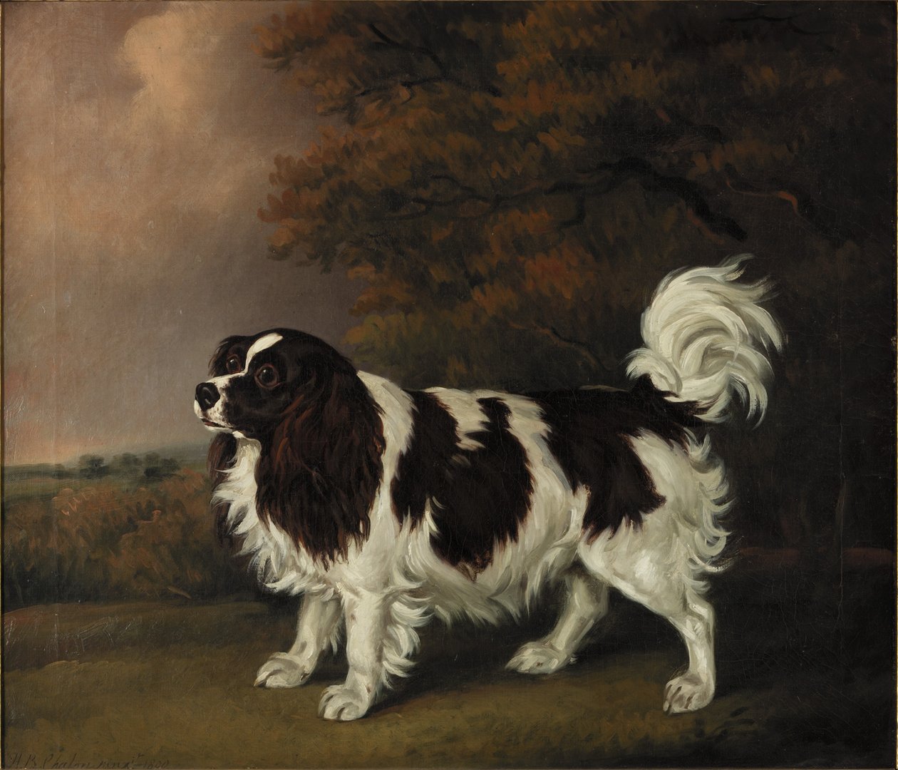 Studie van een King Charles Spaniel door Henry Bernard Chalon