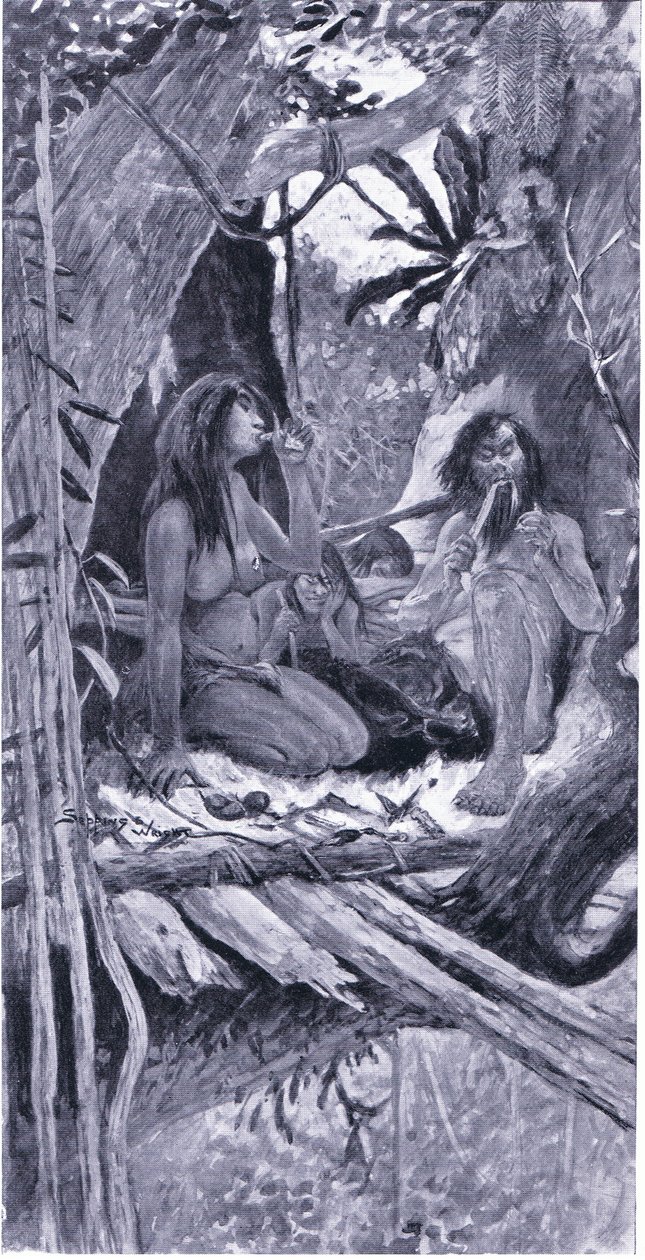 Prehistorische Chinese boom bewoner door Henry Charles Seppings Wright