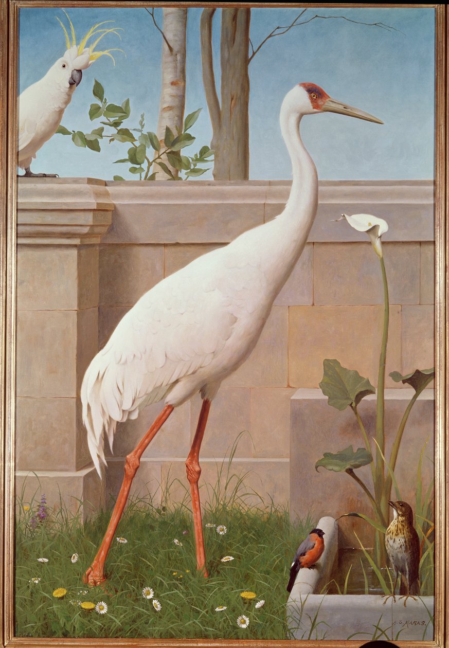 Indische kraanvogel, kaketoe, goudvink en lijster door Henry Stacey Marks