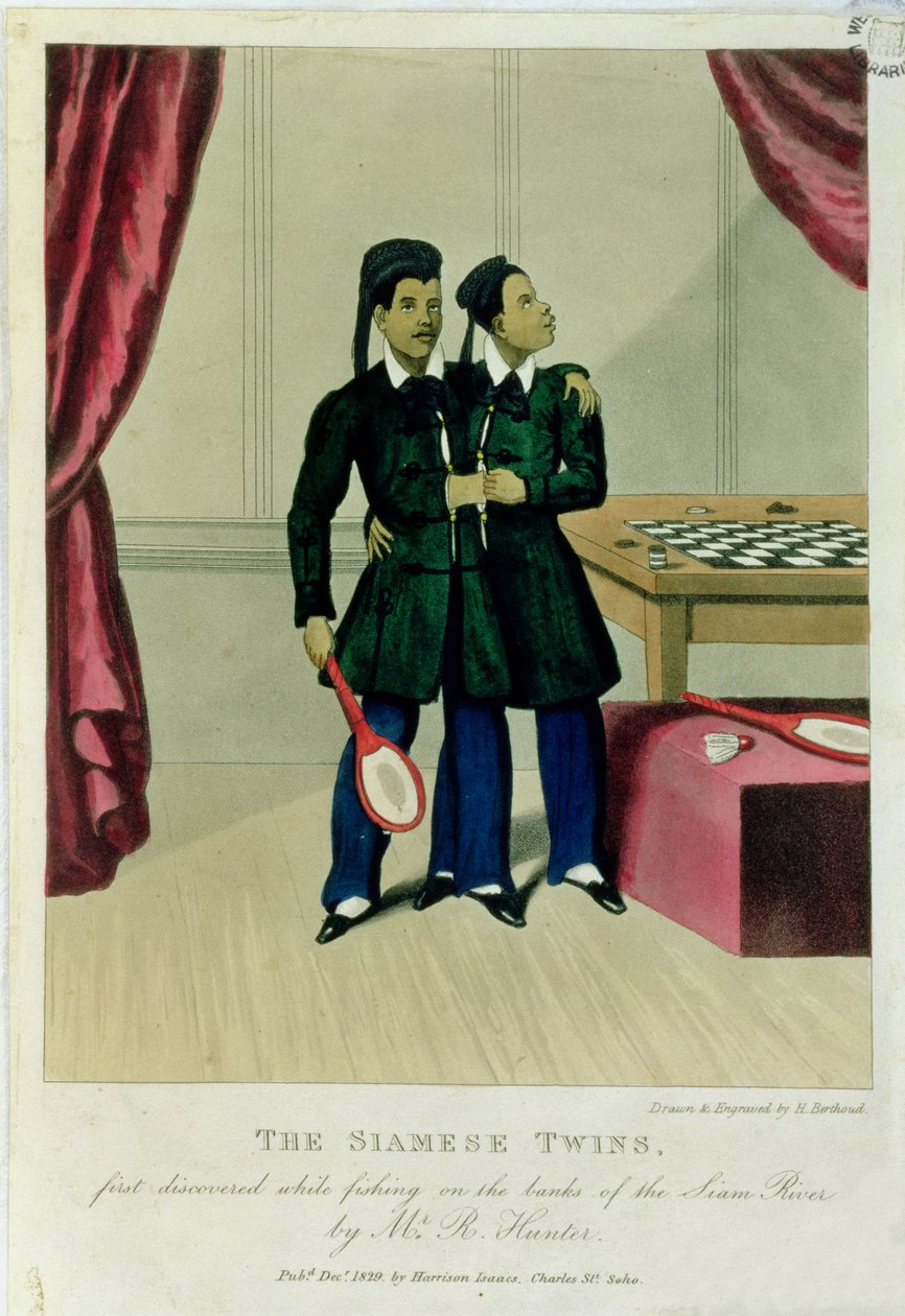 De Siamese Tweeling, voor het eerst ontdekt tijdens het vissen aan de oevers van de Siam-rivier door Mr R. Hunter, 1829 door Henry Berthoud