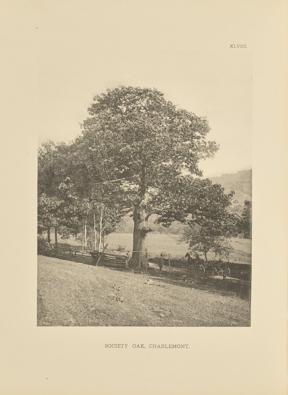 Sociëteit Eik, Charlemont door Henry Brooks
