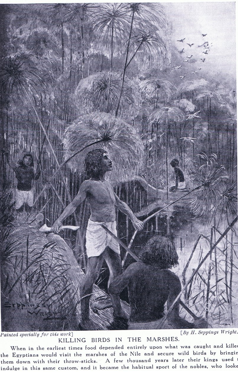 Vogels doden in de moerassen, ca. 1920 door Henry Charles Seppings Wright