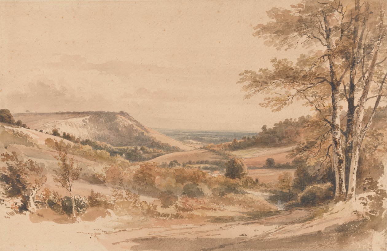 Boxhill vanaf Westhumble Lane door Henry Edridge