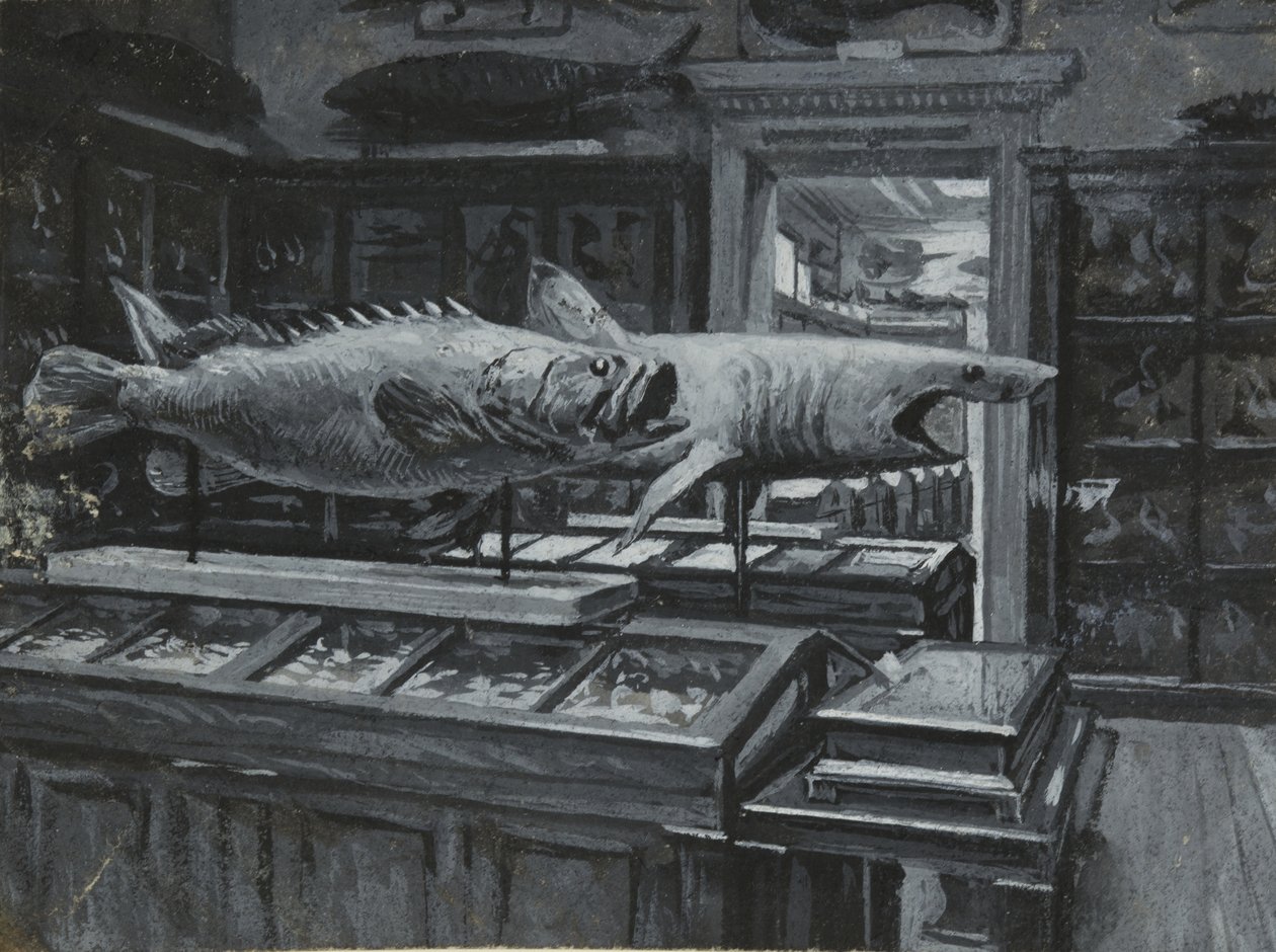 Interieur van het British Museum met de galerij van visexposities, ca. 1880 door Henry Edward Tidmarsh