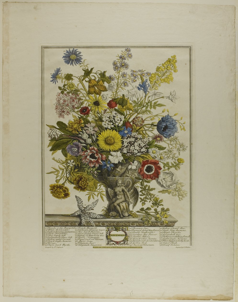 November, uit Twaalf maanden bloemen door Henry Fletcher
