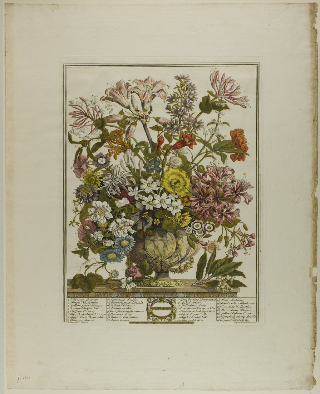 Oktober, uit Twaalf Maanden van Bloemen door Henry Fletcher