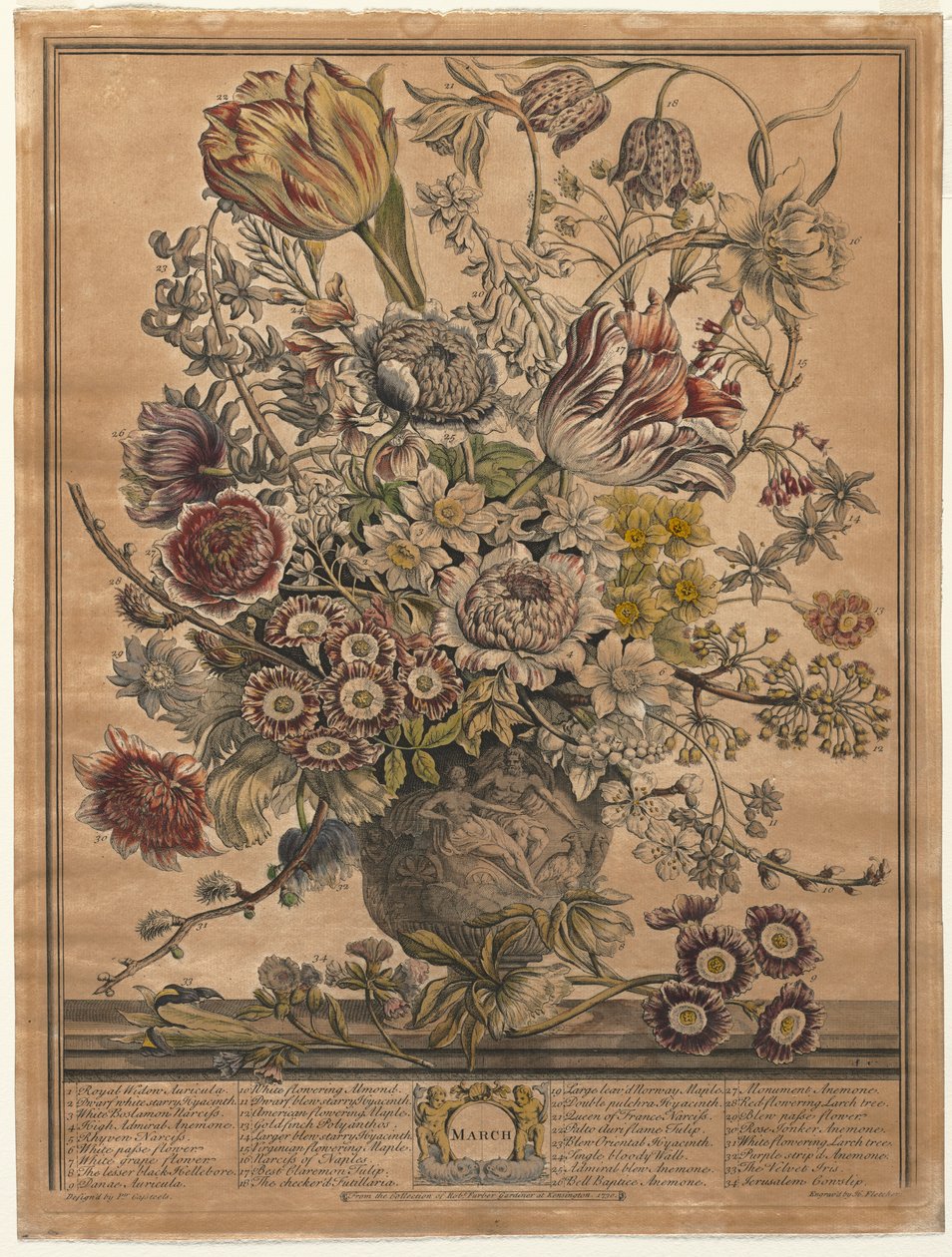 Twaalf maanden bloemen: Maart door Henry Fletcher