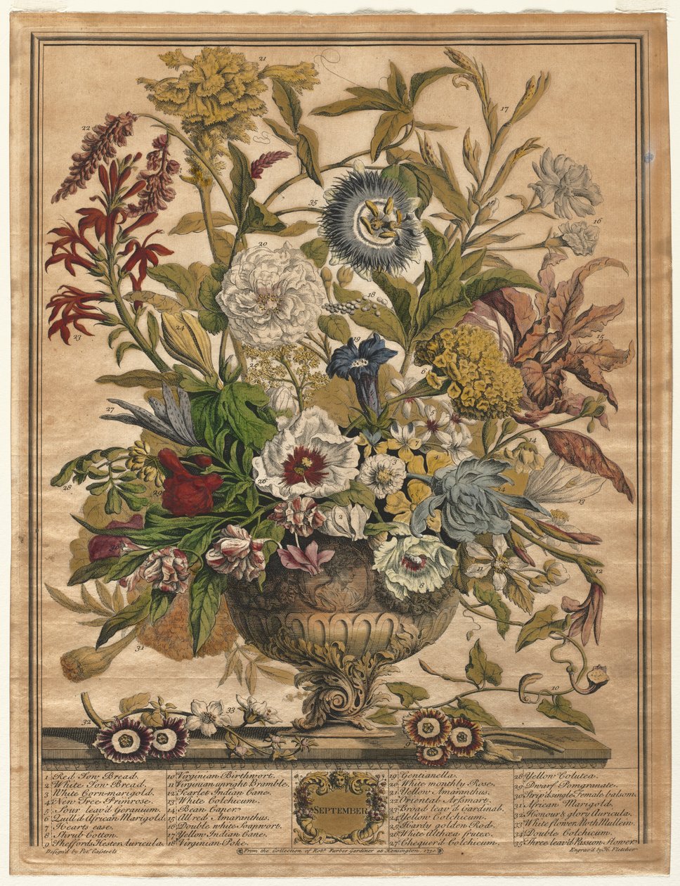 Twaalf Maanden van Bloemen: September, 1730 door Henry Fletcher