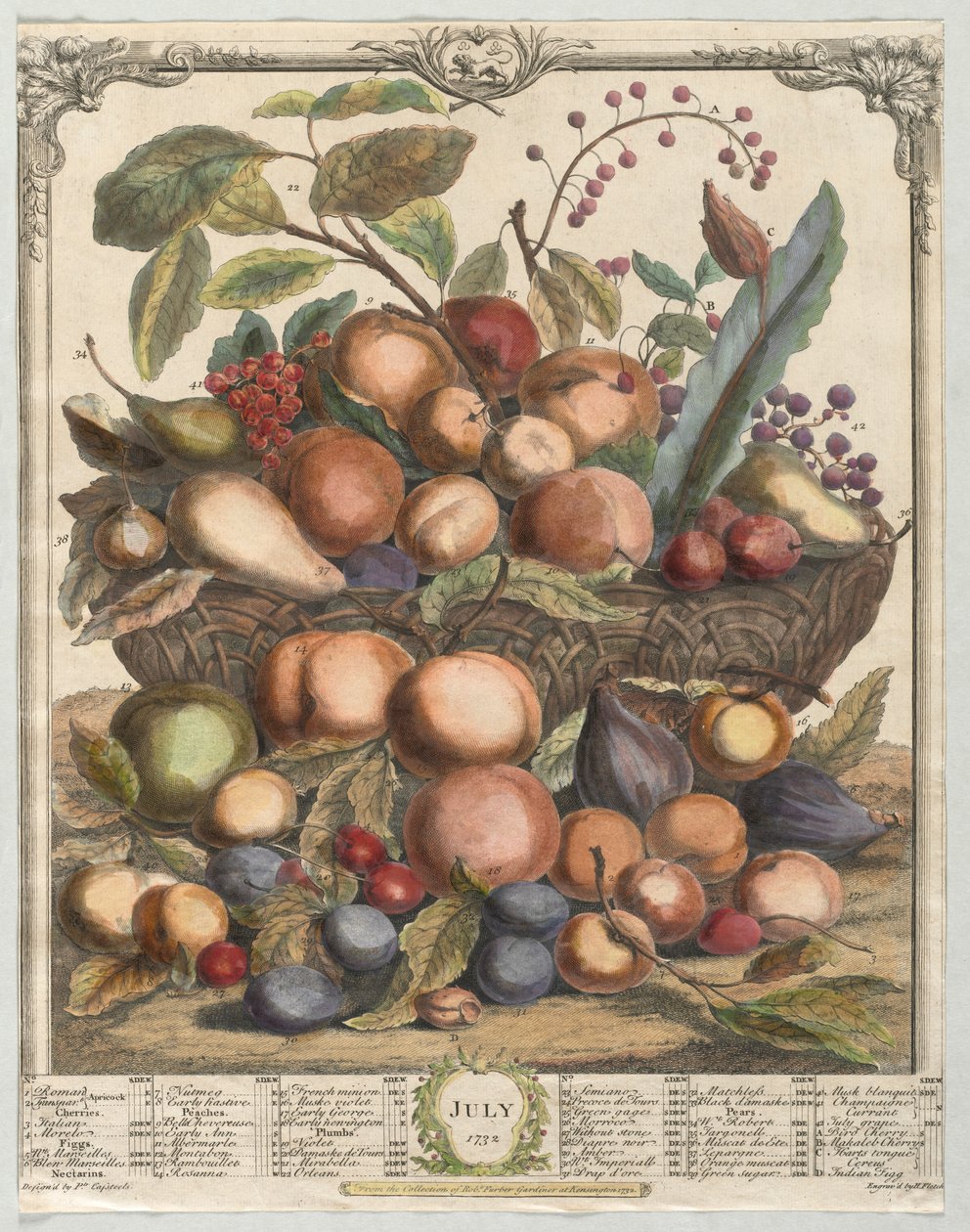 Twaalf maanden fruit: juli, 1732 door Henry Fletcher