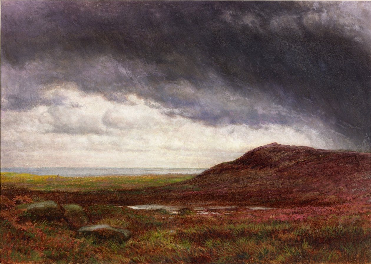 Heide door Henry Hetherington Emmerson