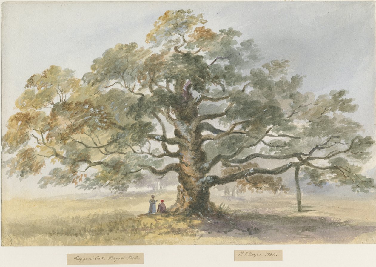 Blithfield - Bedelaars Eik door Henry James Noyes