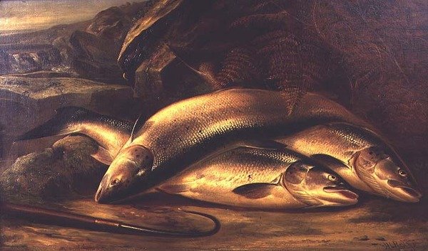 Stilleven van Zalm door Henry Leonidas Rolfe