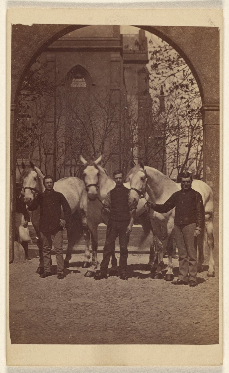 [Drie mannen poseren met drie witte paarden]. door Henry Pointer