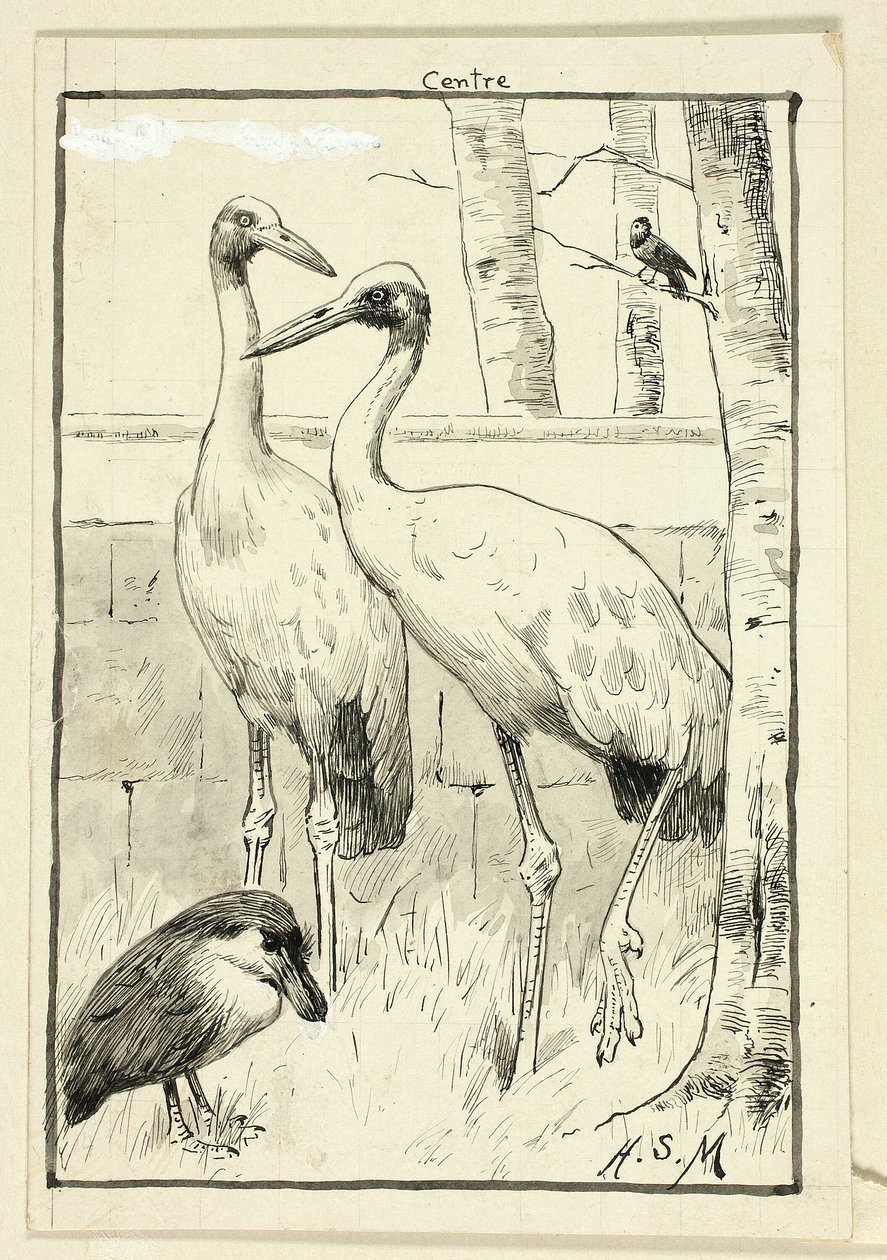 Vier vogels in landschap door Henry Stacy Marks