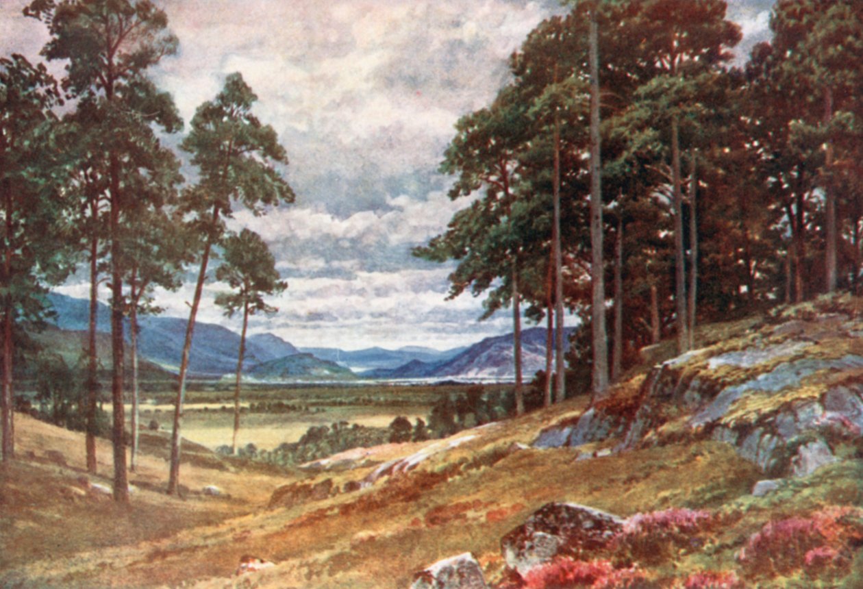  door Henry Sutton Palmer