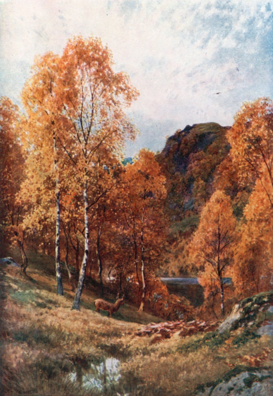 Gouden herfst, de Trossachs, Perthshire (kleurenlitho) door Henry Sutton Palmer