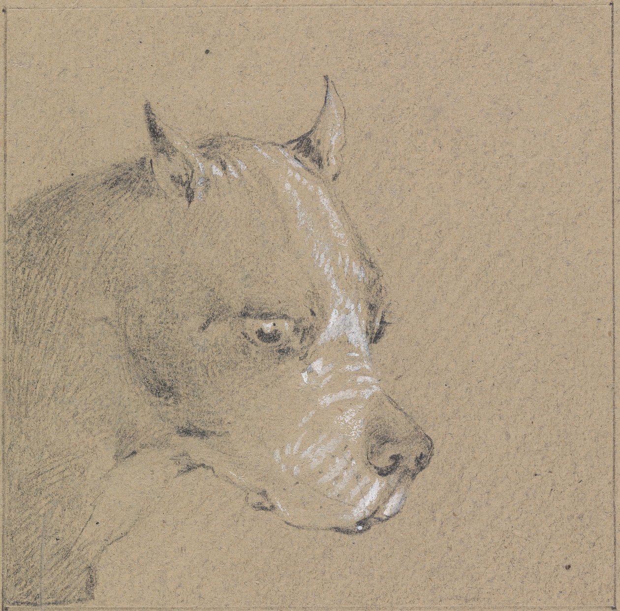 Kop en schouders van een boxerhond, rechterprofiel door Henry Thomas Alken