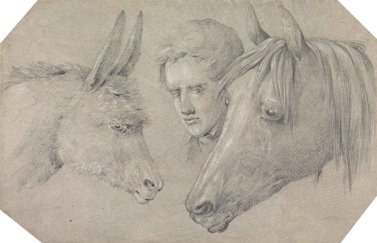 Hoofd van een stalknecht, kijkend tussen de hoofden van een paard links van hem en een ezel rechts van hem door Henry Thomas Alken