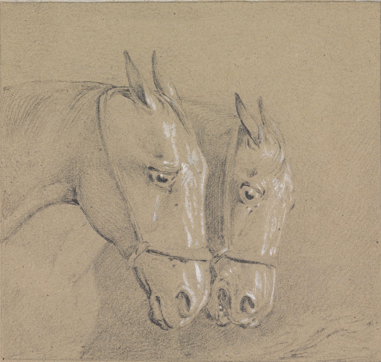 Koppen en halzen van twee paarden met hoofdstellen, rechterprofielen door Henry Thomas Alken