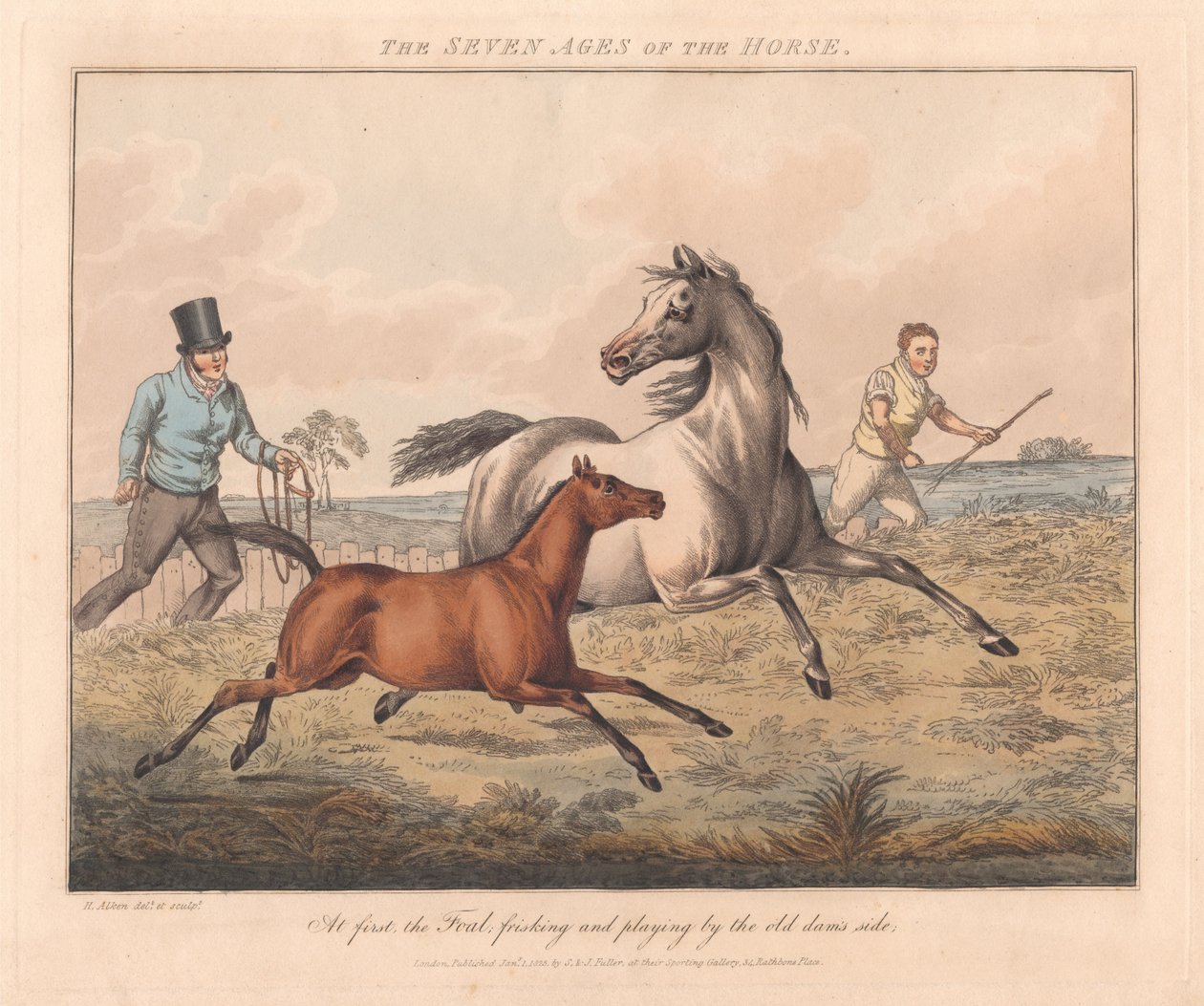 Reeks van zeven: De zeven leeftijden van het paard door Henry Thomas Alken