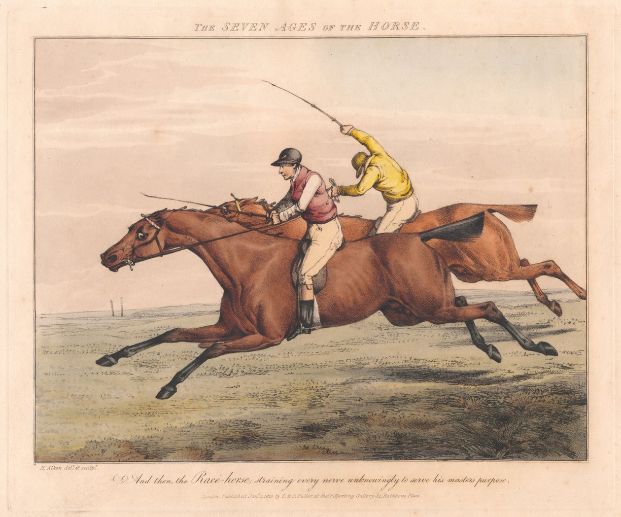 Reeks van zeven: De zeven levensfasen van het paard door Henry Thomas Alken