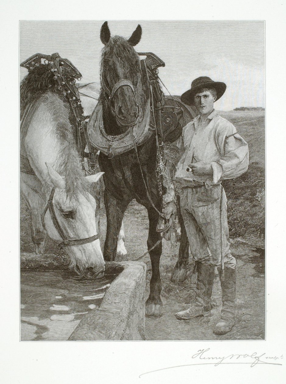 Paarden bij de drinkbak door Henry Wolf