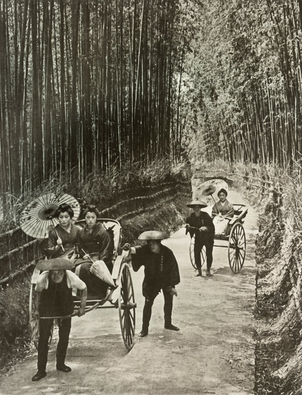 Een Bamboe Avenue in Kyoto, 1910 door Herbert Ponting