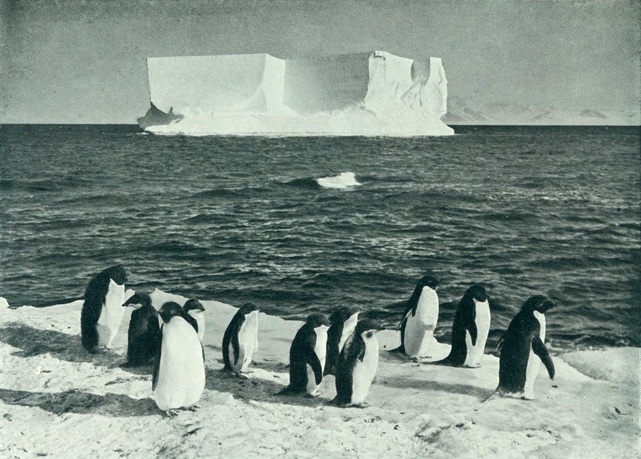Een ijsberg drijvend in McMurdo Sound, c1910-1913, 1913 door Herbert Ponting