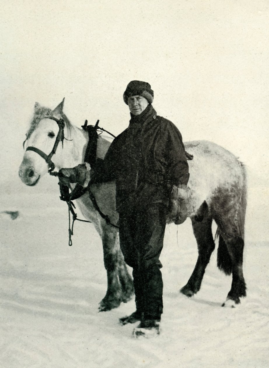 Dr. Wilson en pony Nobby, ca. 1911, 1913 door Herbert Ponting