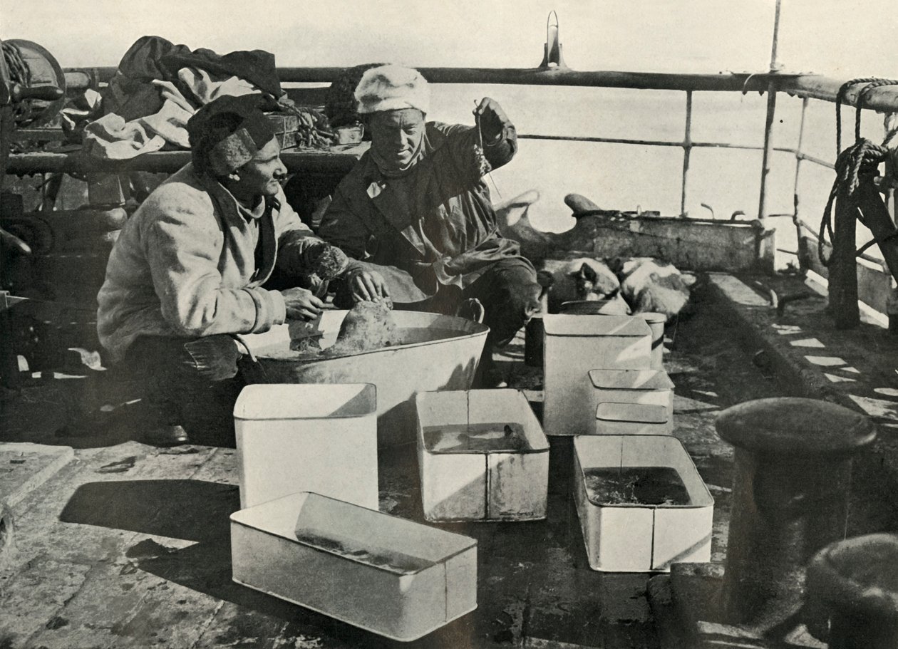 Lillie en Dr. Levick sorteren een sleepnetvangst, c1910-1913, 1913 door Herbert Ponting