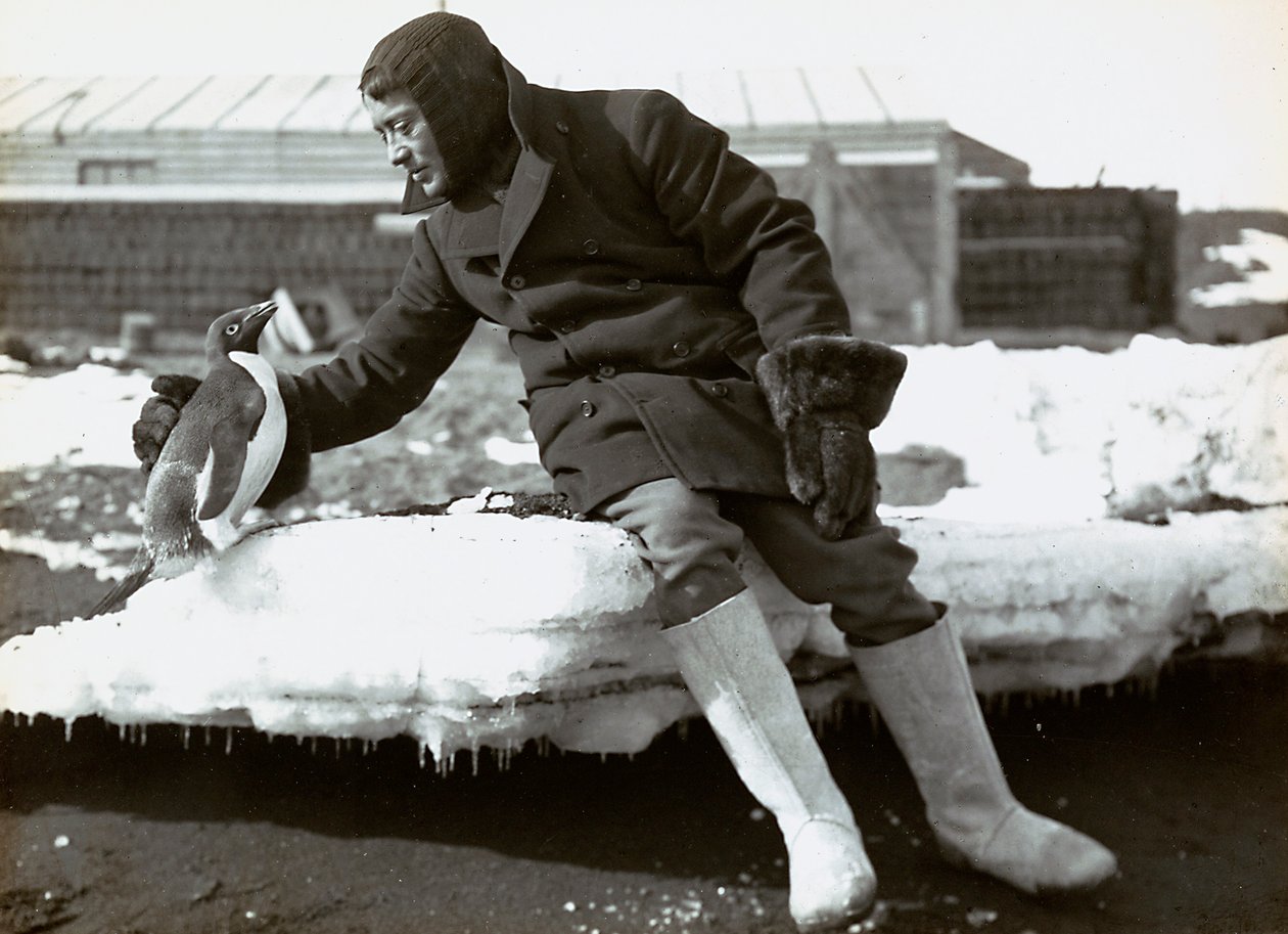 Man met een pinguïn tijdens de Engelse expeditie naar Antarctica door Herbert Ponting