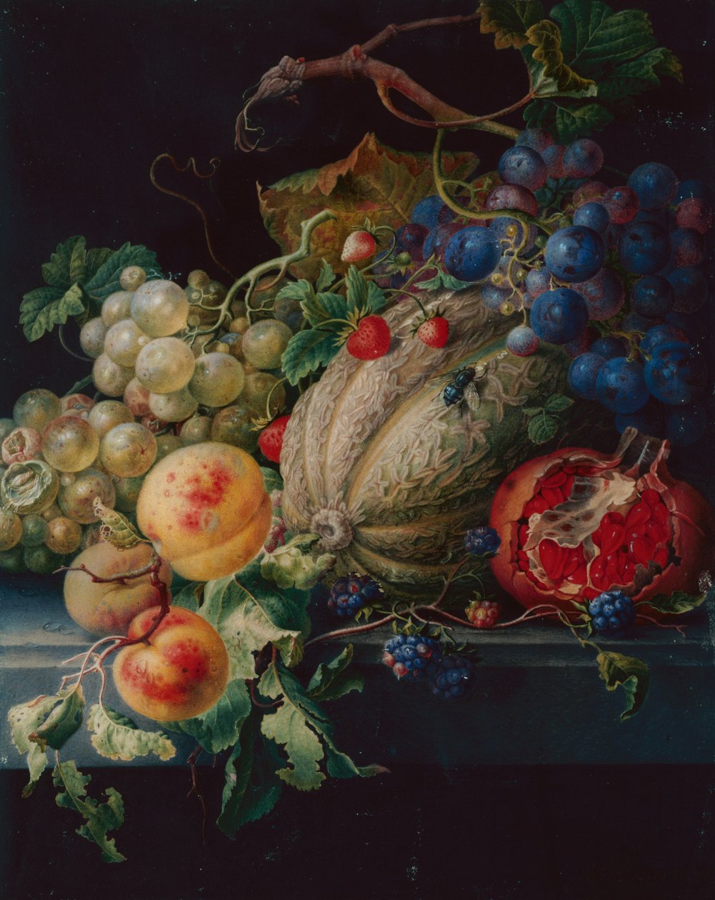 Fruit stilleven op een stenen richel door Herman Henstenburgh