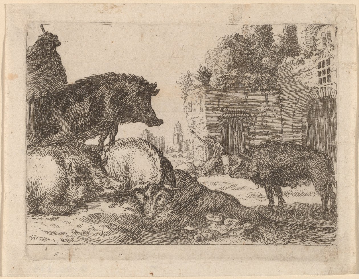 Varkens door Herman van Swanevelt