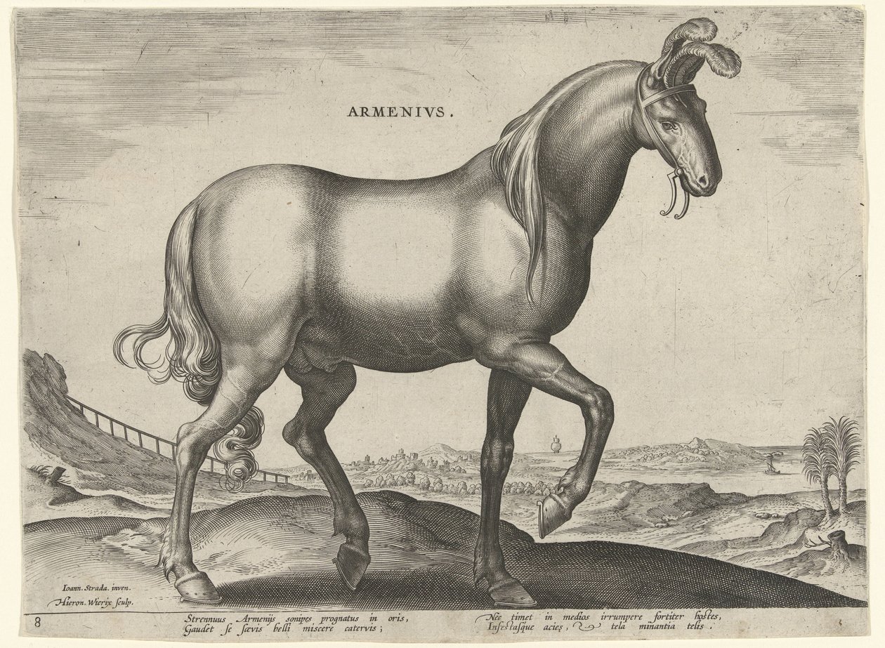 Paard uit Armenië door Hieronymus Wierix