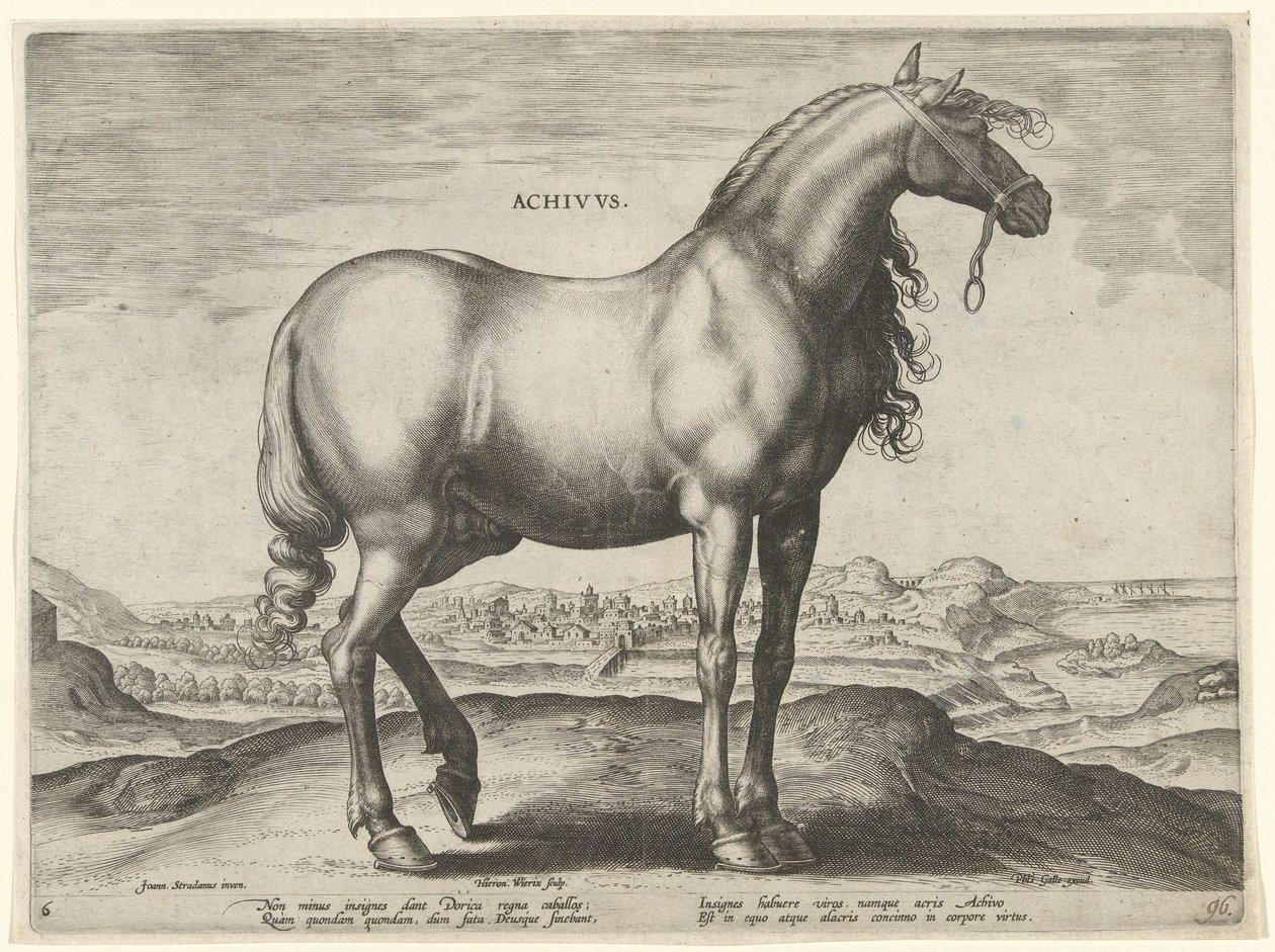 Paard uit Griekenland (Achivus) (Paardenrassen uit de Koninklijke stallen van Don Juan van Oostenrijk) door Hieronymus Wierix
