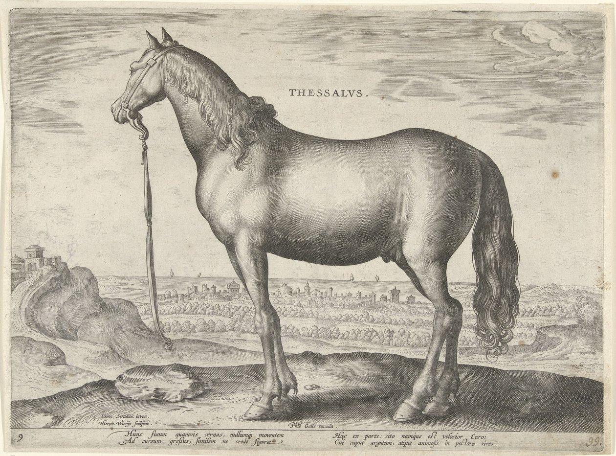 Paard uit Thessalië door Hieronymus Wierix