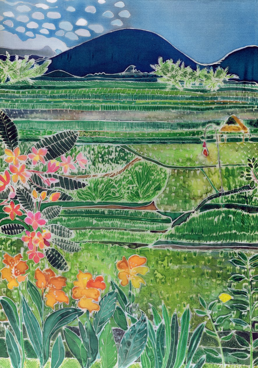 Lovina rijstvelden met lelies en frangipani, Bali, 1996 door Hilary Simon