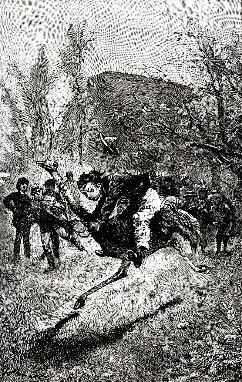 De jonge Service rijdt op een struisvogel. Gravure door Hippolyte Leon Benett