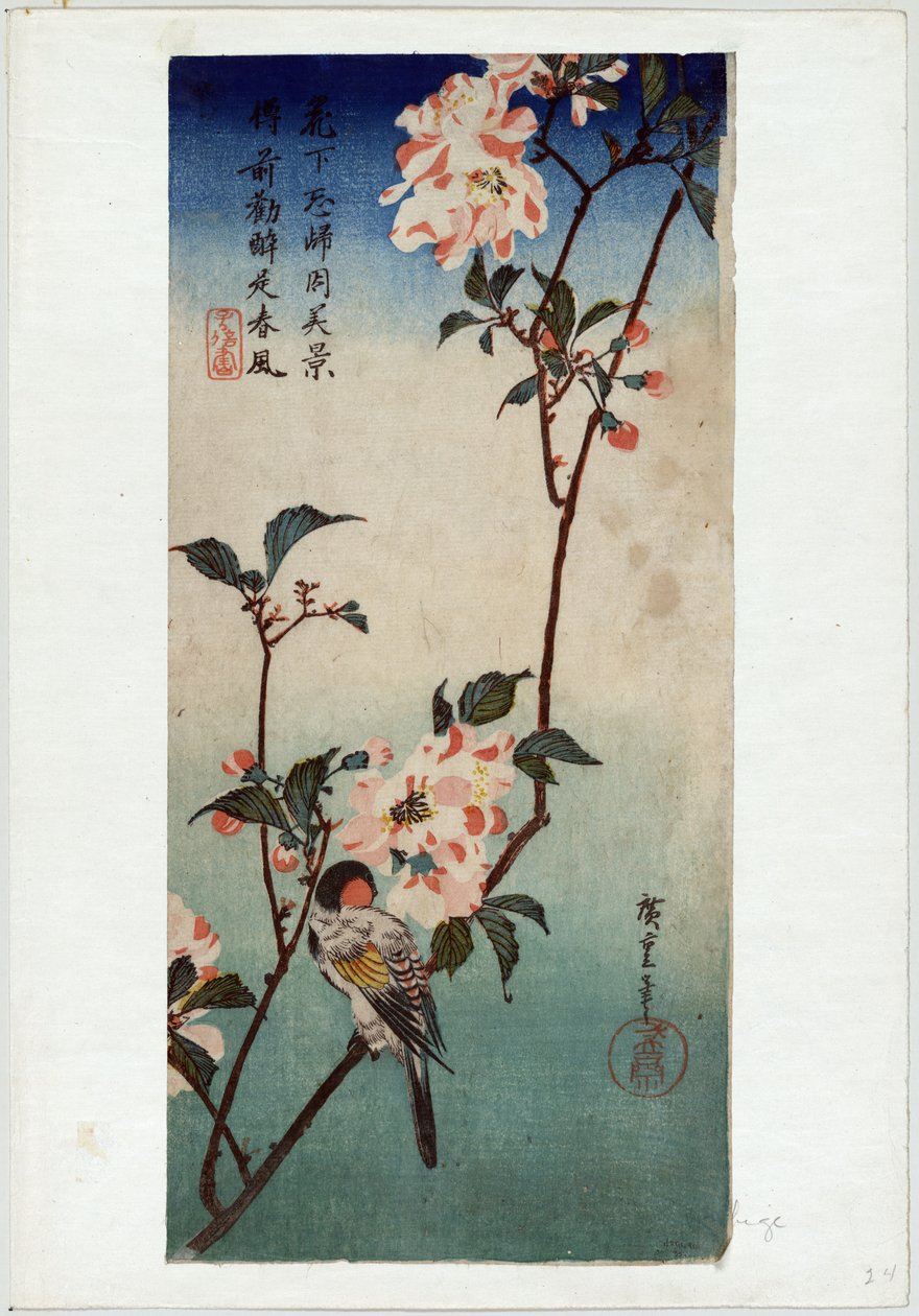 Kaido ni Shokin (Kleine vogel op een tak van Kaidozakura) door Utagawa Hiroshige