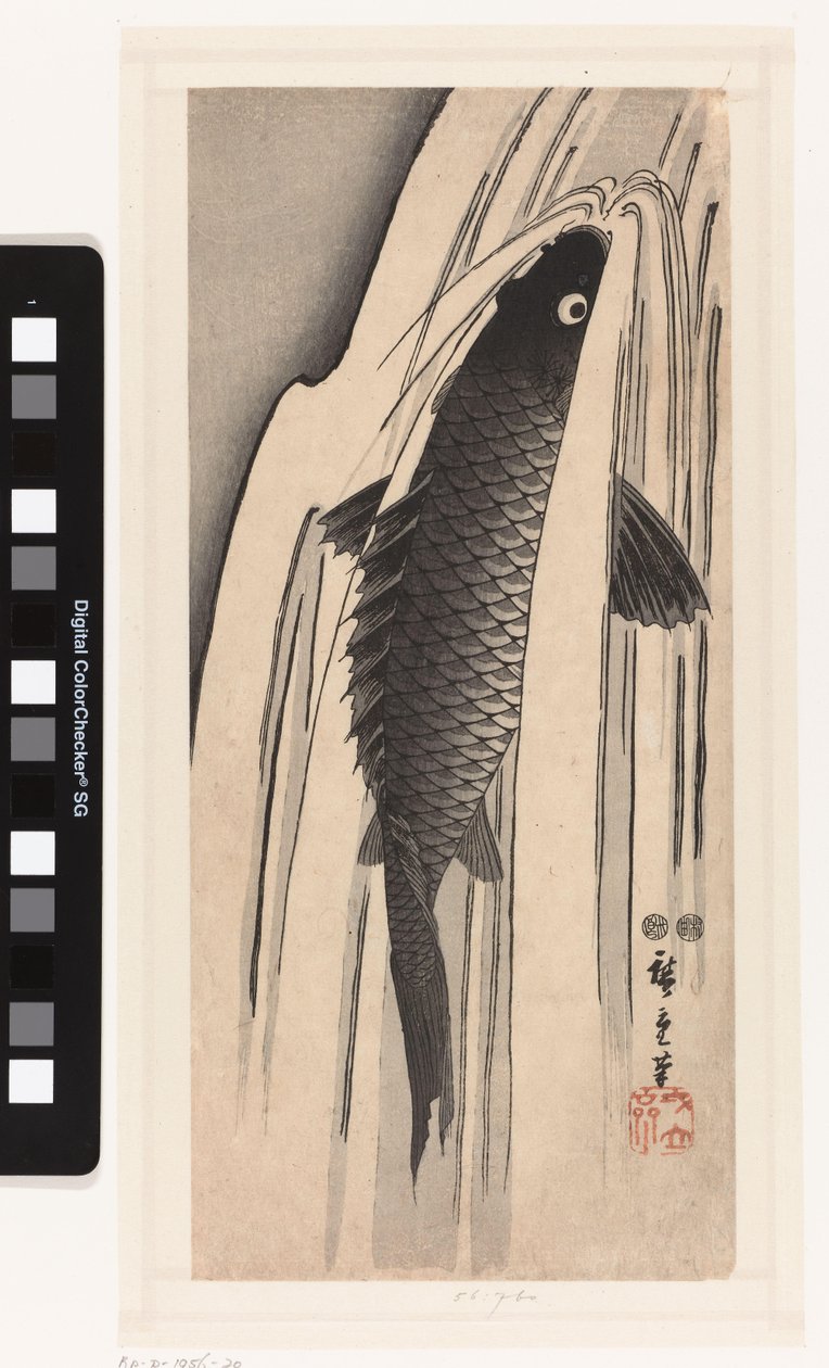 Karper opzwemmend tegen een waterval door Hiroshige (I) , Utagawa