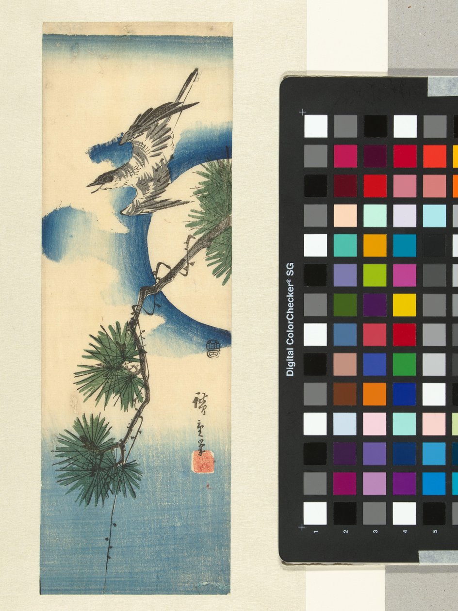 Koekoek bij pijnboomtak en volle maan door Hiroshige (I) , Utagawa