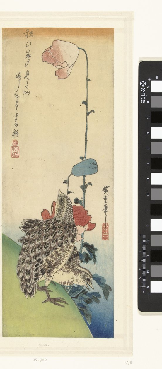 Kwartels en papavers door Hiroshige (I) , Utagawa