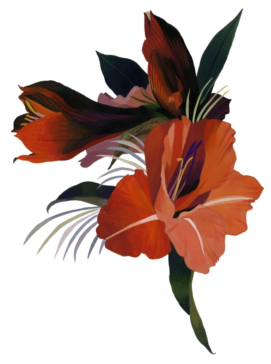 Een denkbeeldige bloem gebaseerd op een amaryllis door Hiroyuki Izutsu