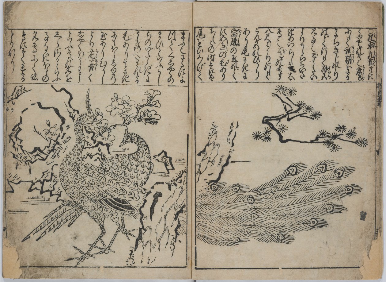 Een verzameling bloemen en vogels (Kacho zukushi) door Hishikawa Moronobu