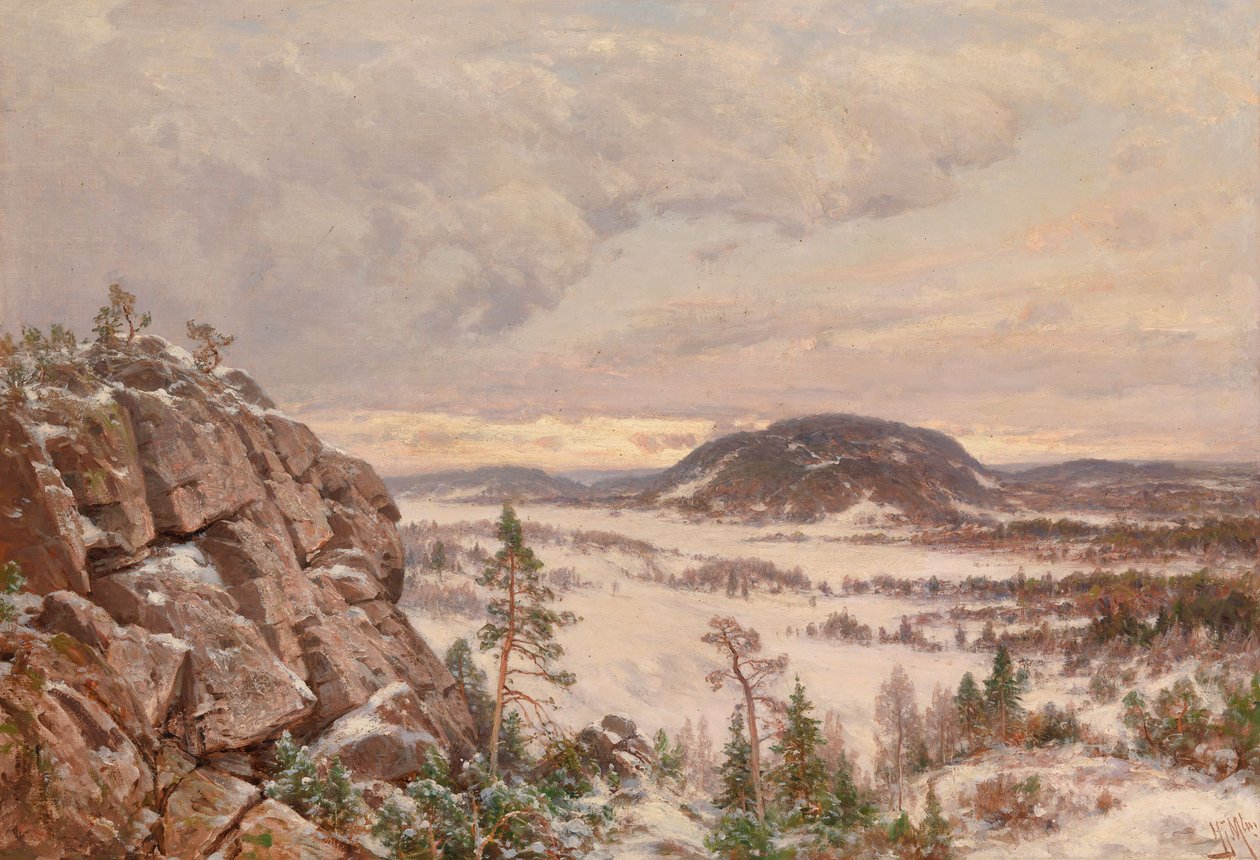 Winterochtend door Hjalmar Munsterhjelm