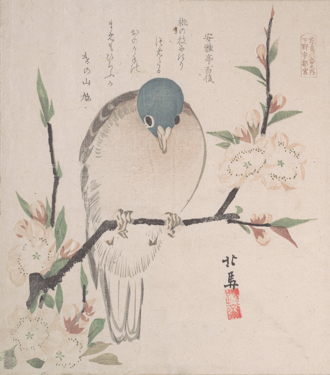 Lente Regen Collectie Harusame shu, vol. 3: Bergduif en perzikbloemen door Hokuba