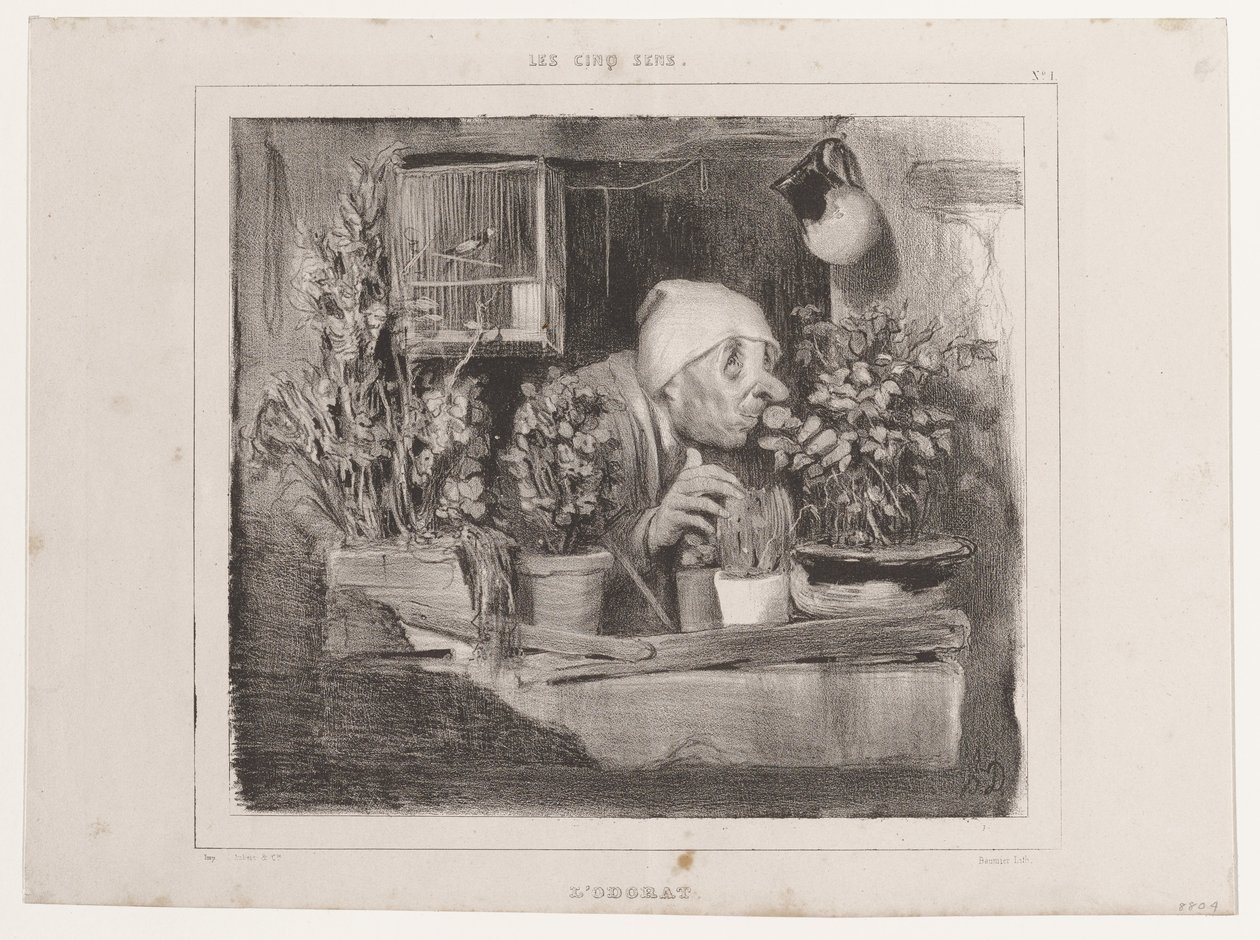De reukzin (De vijf zintuigen), uit La Caricature door Honoré Daumier