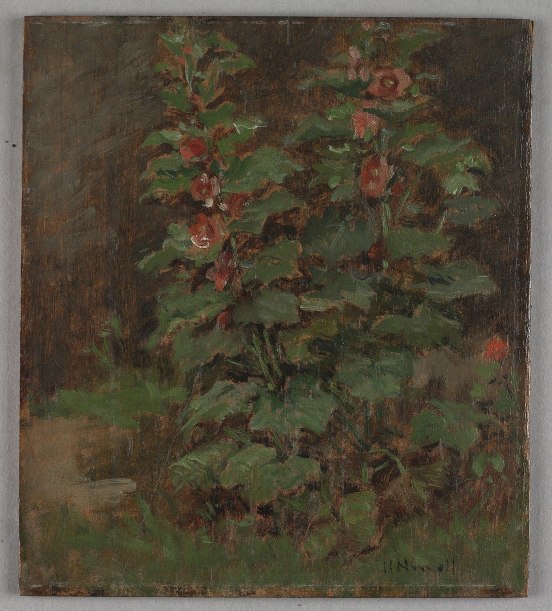 Bloemen door Hugh Newell